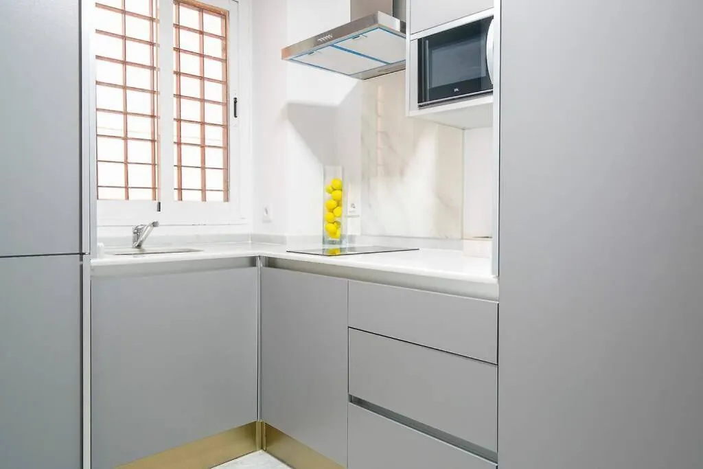 Lovely And Chic Apartment In The Heart Of Sewilla